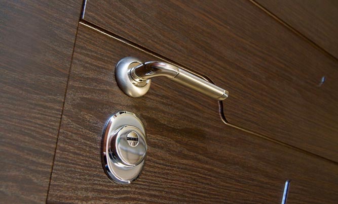 Door Handles